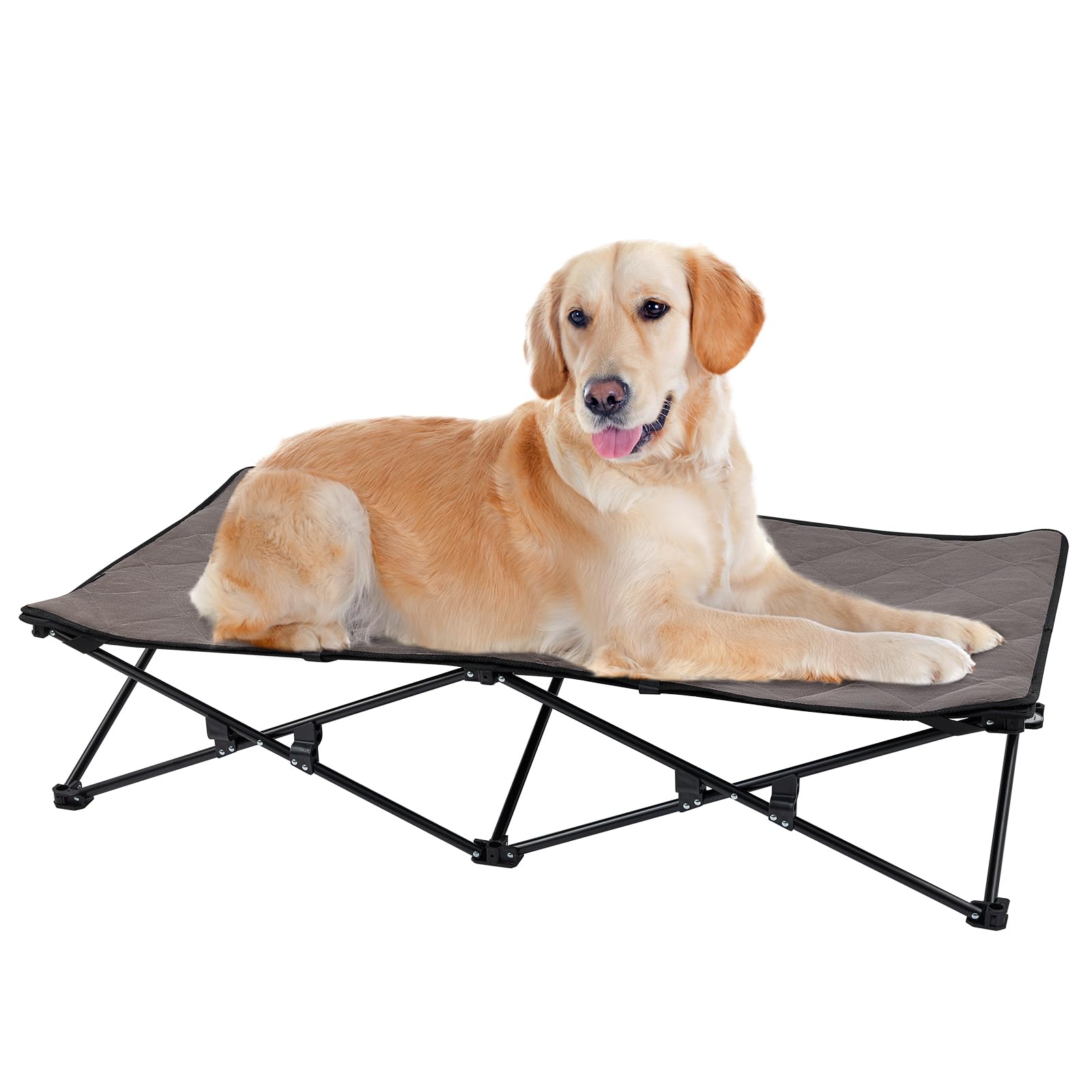 Best elevated pet bed best sale